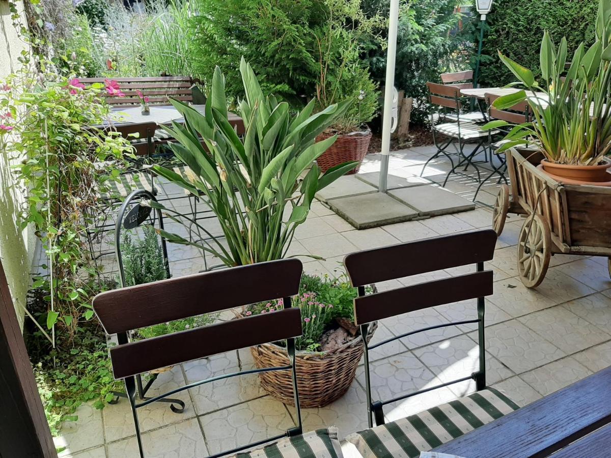 Gasthof & Pension Zum Saalestrand Bad Dürrenberg Kültér fotó
